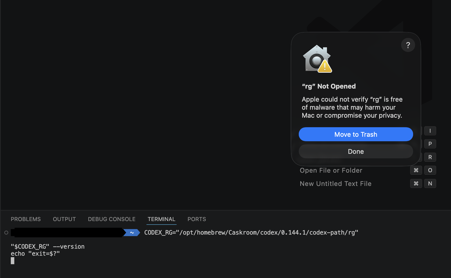 VS Code terminal reproducing the rg popup